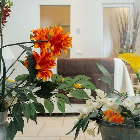 Il Claustro - Bed And Breakfast Altamura Εξωτερικό φωτογραφία