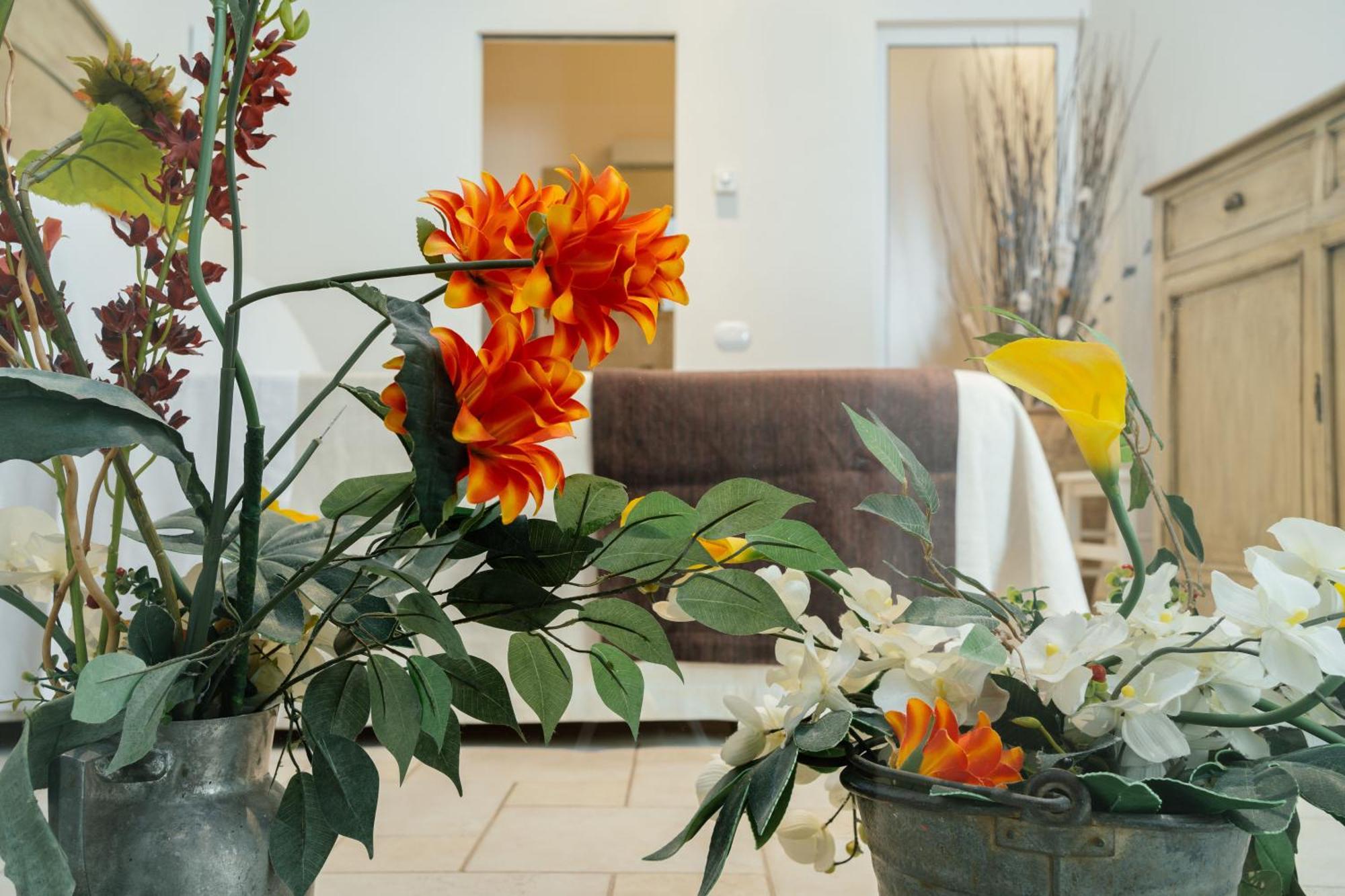 Il Claustro - Bed And Breakfast Altamura Εξωτερικό φωτογραφία