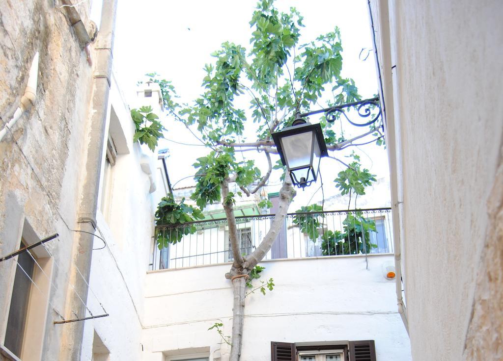 Il Claustro - Bed And Breakfast Altamura Εξωτερικό φωτογραφία